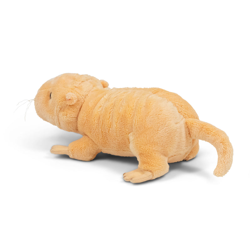 Animigos World Of Nature Naked Mole Rat