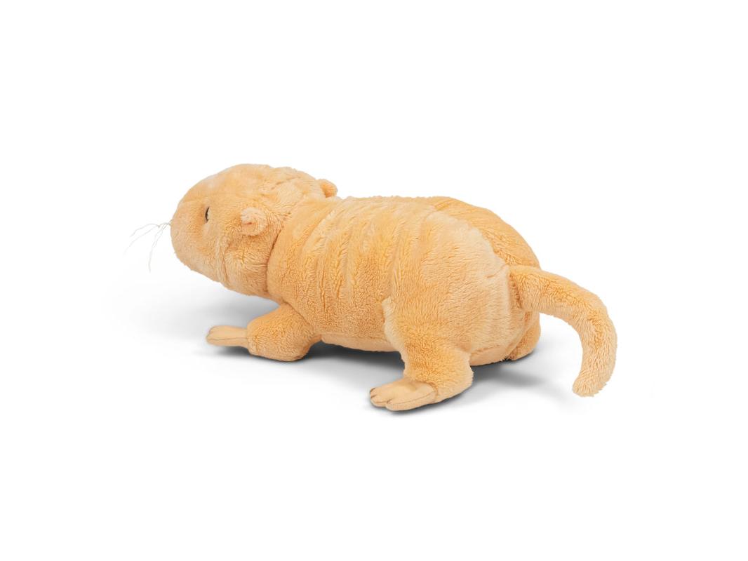 Animigos World Of Nature Naked Mole Rat