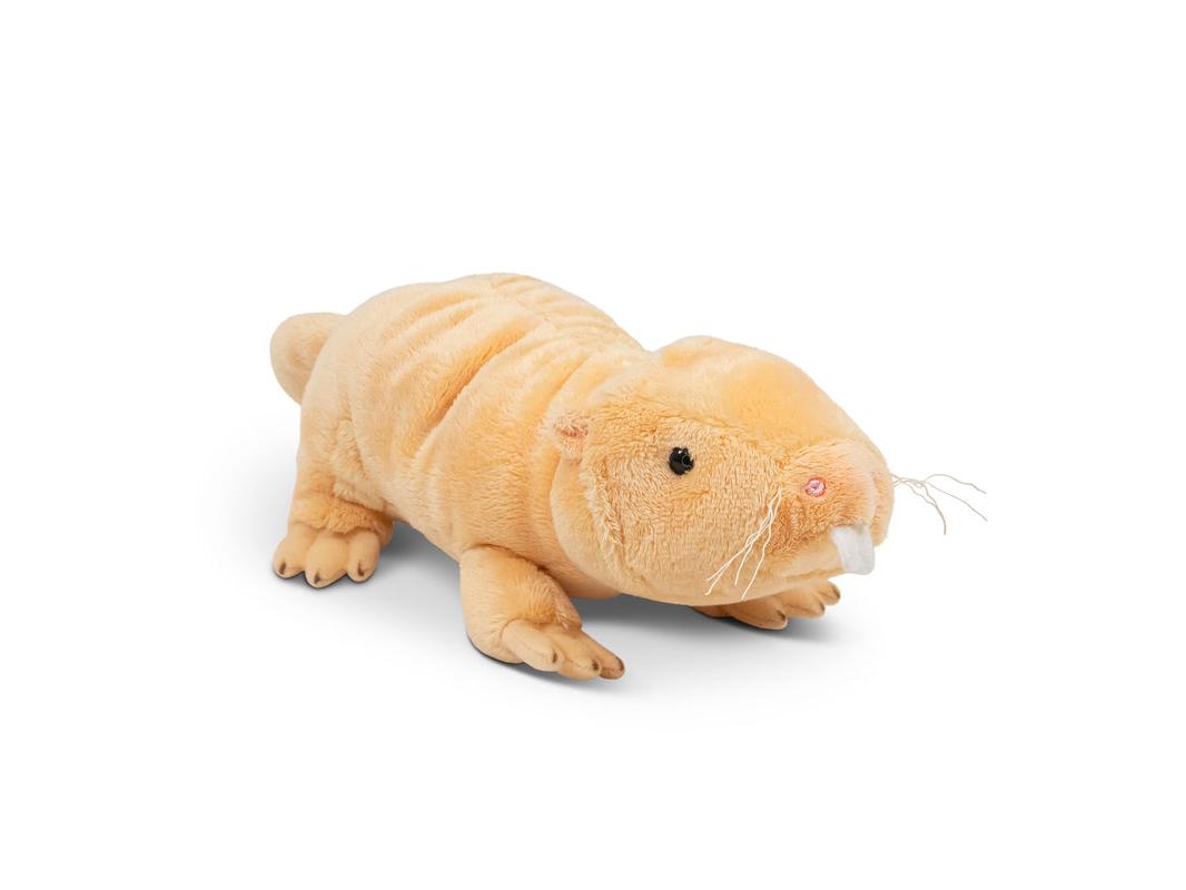 Animigos World Of Nature Naked Mole Rat