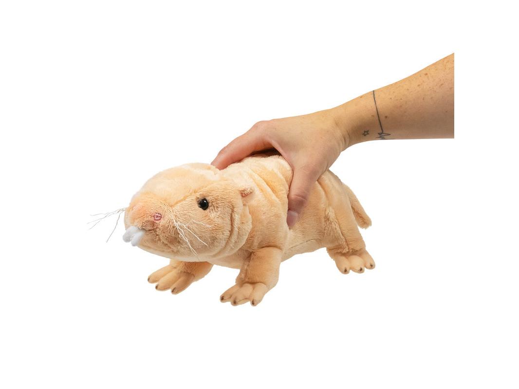 Animigos World Of Nature Naked Mole Rat
