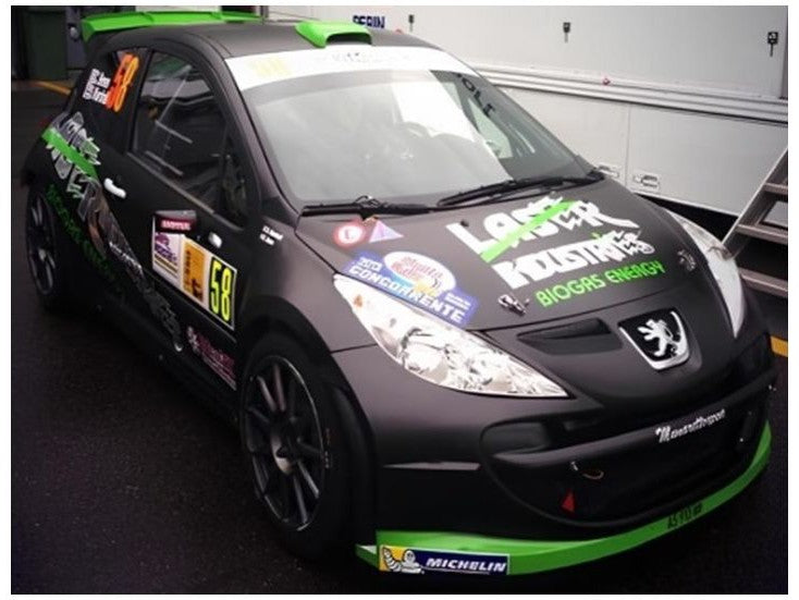 Peugeot 207 S2000 #58 16th Monza Rally Show 2013 C Breen/S Marshall - 1:18 Scale Diecast Model Car-Sun Star-Diecast Model Centre