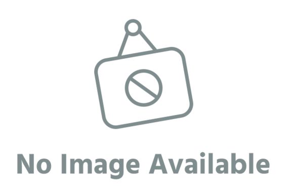 Williams FW04 F1 1975 Jacques Laffite 1:43 Scale Diecast Model