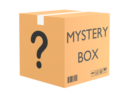 Bburago Street Fire Mystery Box