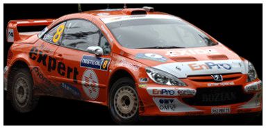 Peugeot 307 WRC Solberg/Menkerud Neste Rally Finland 2006 (Limited Edition 999pcs 1:18 Scale Sun Star Diecast Model Car
